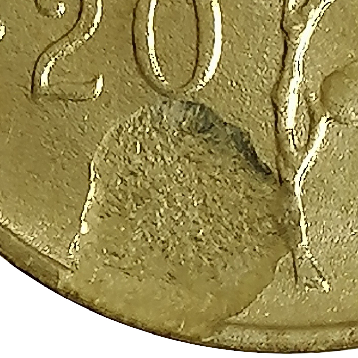 sena coins